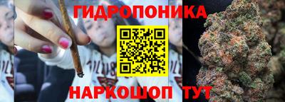 mix Новозыбков