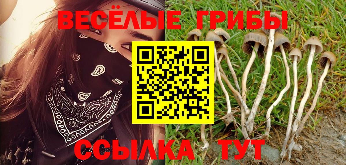 Галлюциногенные грибы MAGIC MUSHROOMS Алексеевка