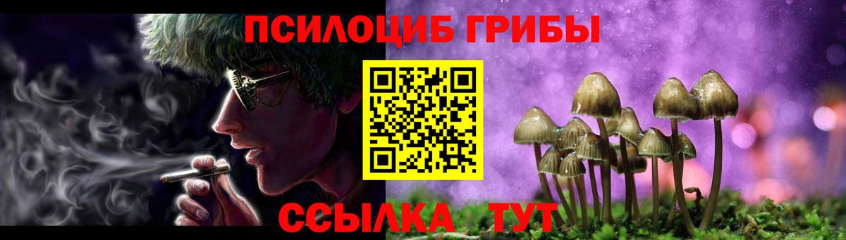 закладка  Галлюциногенные грибы Magic Shrooms  Псилоцибиновые грибы мухоморы  Вход с VPN  Алексеевка 